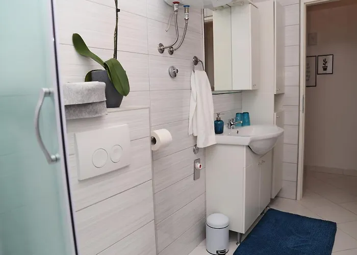 Perfect Spot קורצולה